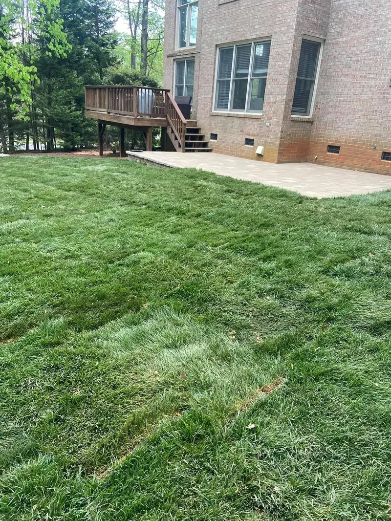 Backyard Makeover – Outdoor Living Tip of the Day