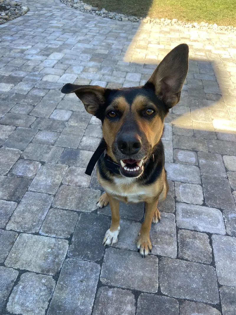 Belgard Avondale Dublin Cobble Paver Patio – Outdoor Living Tip of the Day