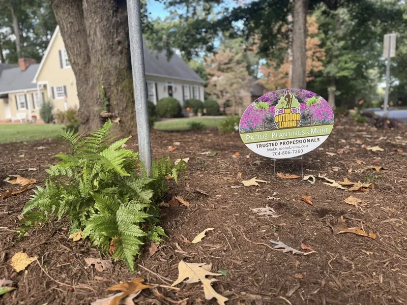 Best Landscaper in Charlotte – Mr. Outdoor Living Tip of the Day