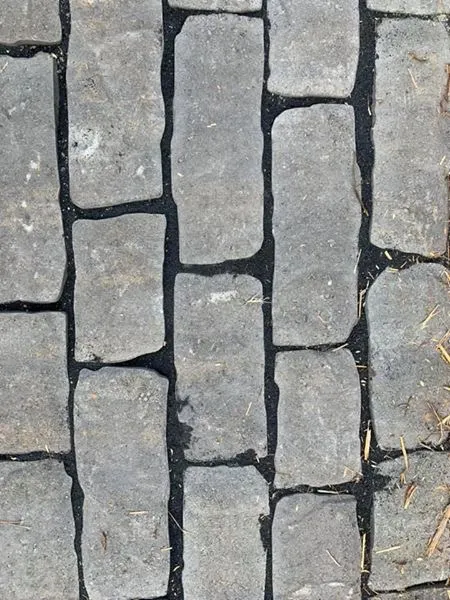 Black Polymeric Sand – Outdoor Living Tip of the Day