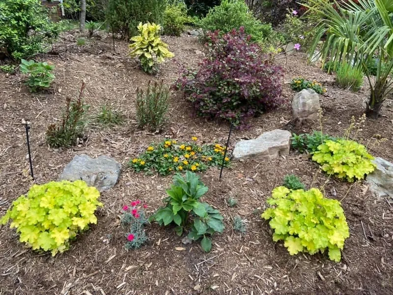 Coral Bells – Outdoor Living Tip of the Day