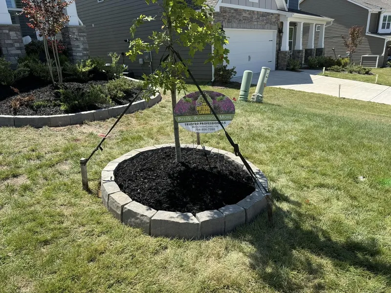 Curb Appeal – Mr. Outdoor Living® Tip of the Day