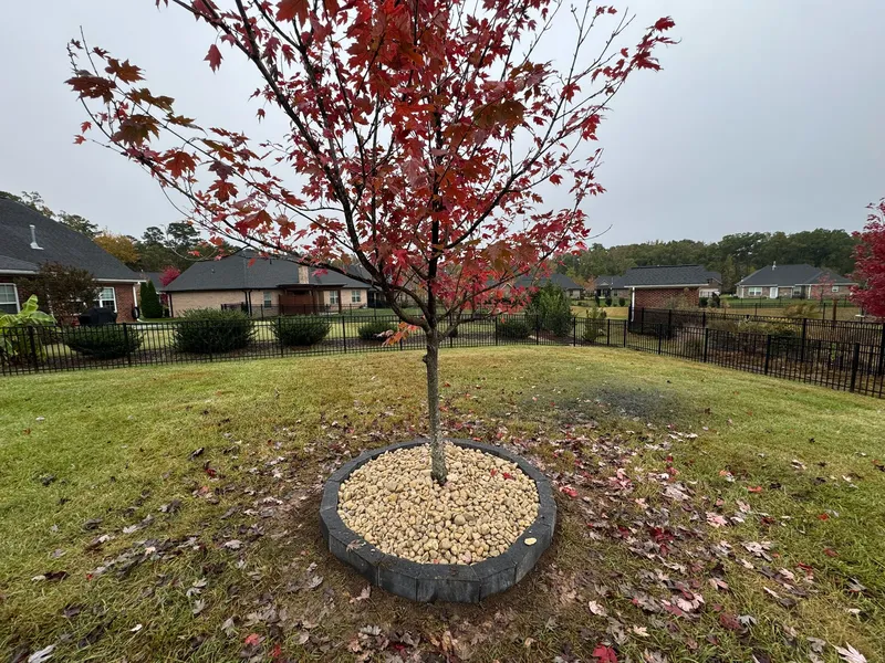 Curbing – Mr. Outdoor Living Tip of the Day