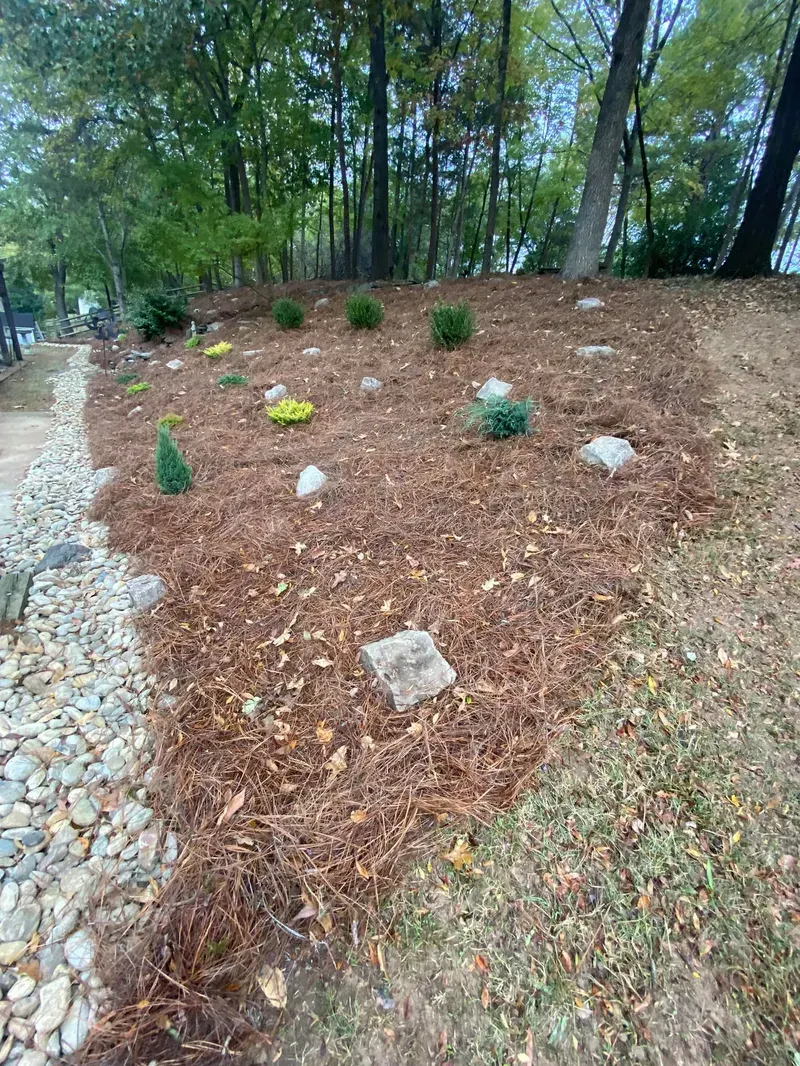 Deer Proof Landscaping – Outdoor Living Tip of the Day