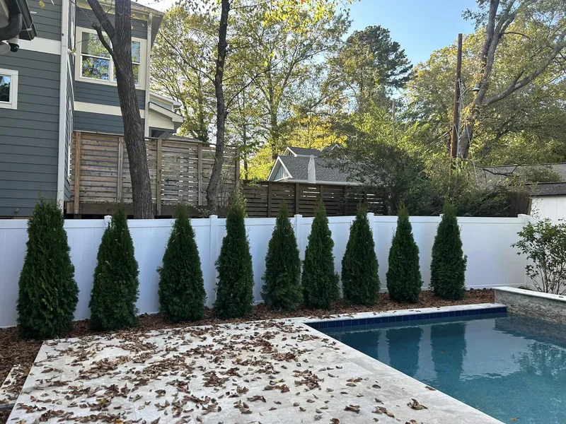 Emerald Green Arborvitae – Mr. Outdoor Living® Tip of the Day