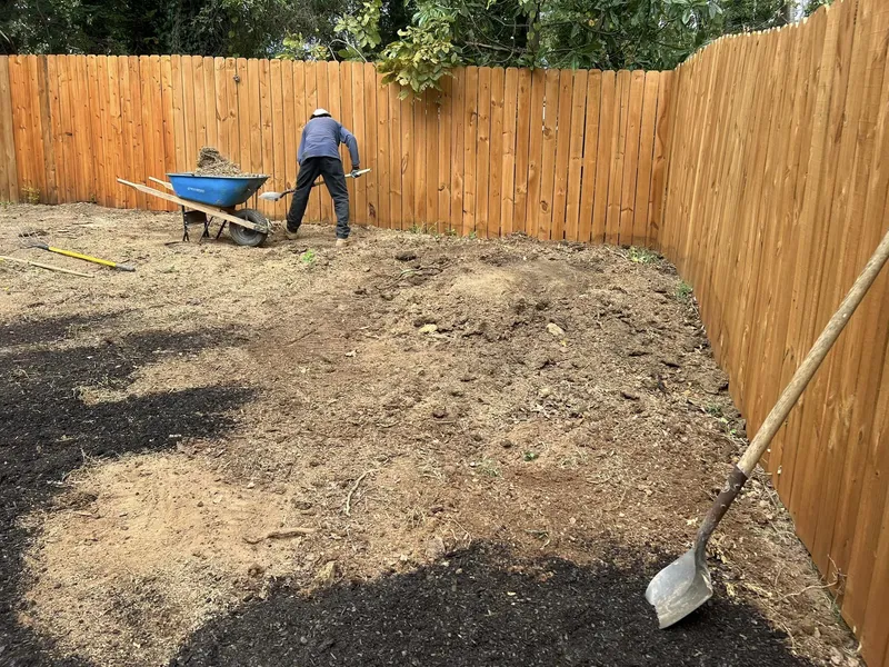 Fescue Grass Sod – Mr. Outdoor Living® Tip of the Day