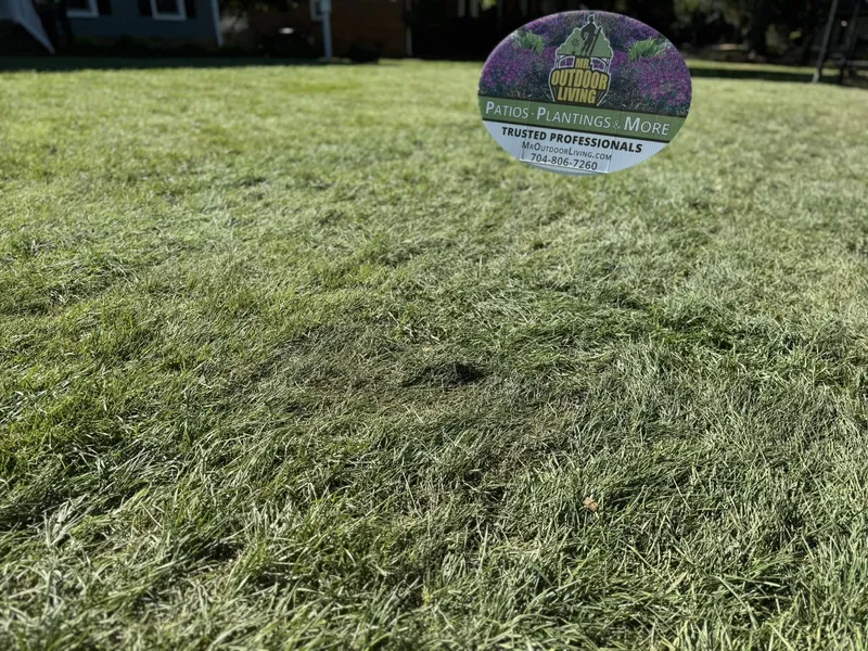Fescue Grass Sod – Mr. Outdoor Living® Tip of the Day