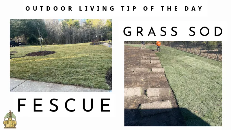 Fescue Grass Sod – Outdoor Living Tip of the Day