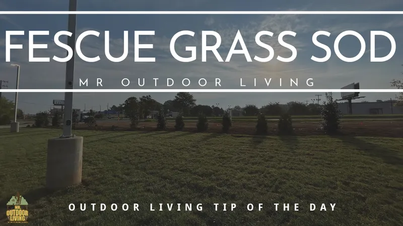 Fescue Grass Sod – Outdoor Living Tip of the Day