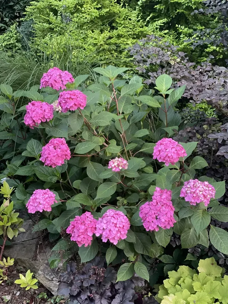 Landscaping in Charlotte – Mr. Outdoor Living Tip of the Day