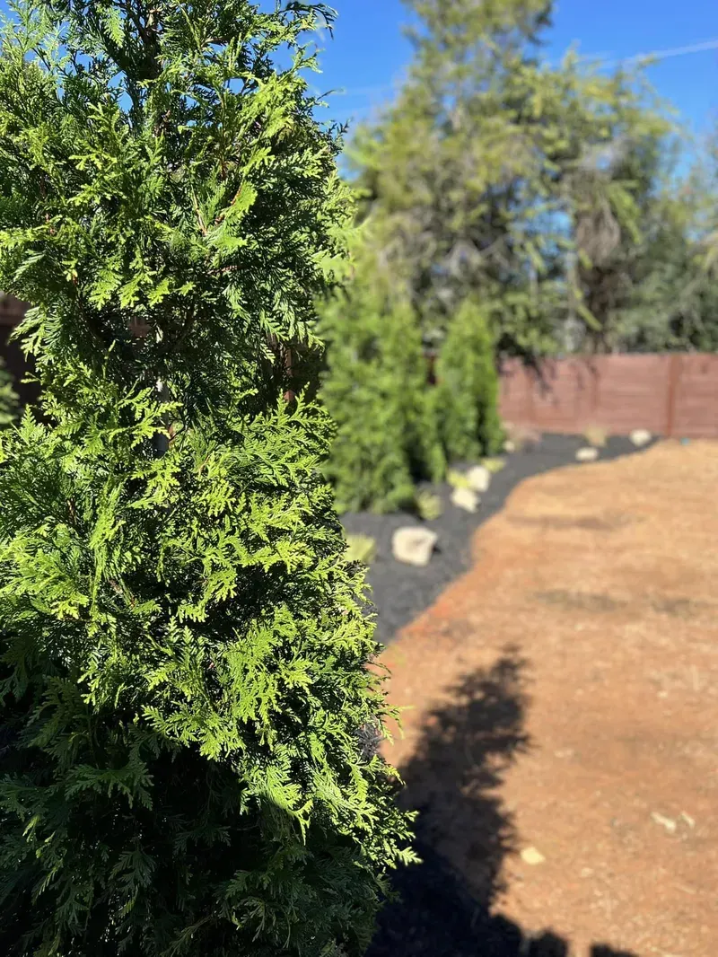 Landscaping in Charlotte – Outdoor Living Tip of the Day