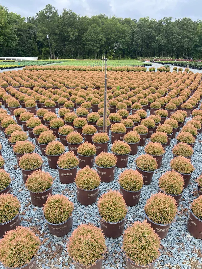 Landscaping in Charlotte – Outdoor Living Tip of the Day