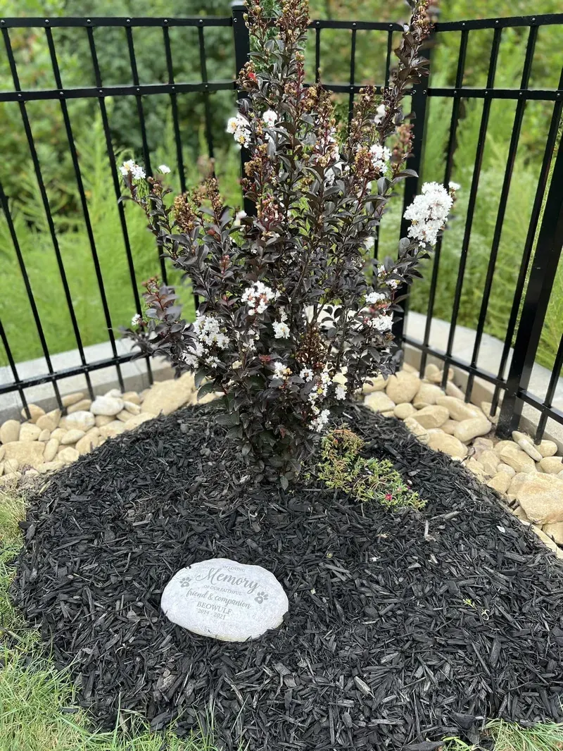 Landscaping in Tega Cay – Outdoor Living Tip of the Day