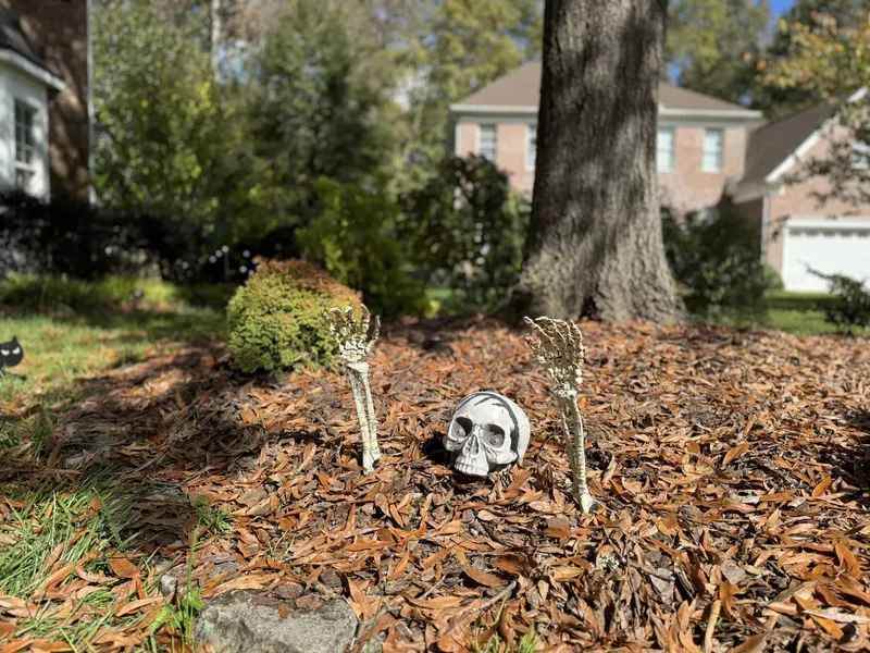 Landscaping – Mr. Outdoor Living® Tip of the Day