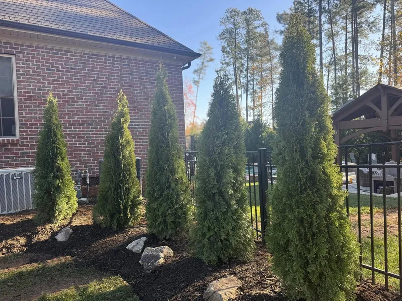 Landscaping – Mr. Outdoor Living® Tip of the Day