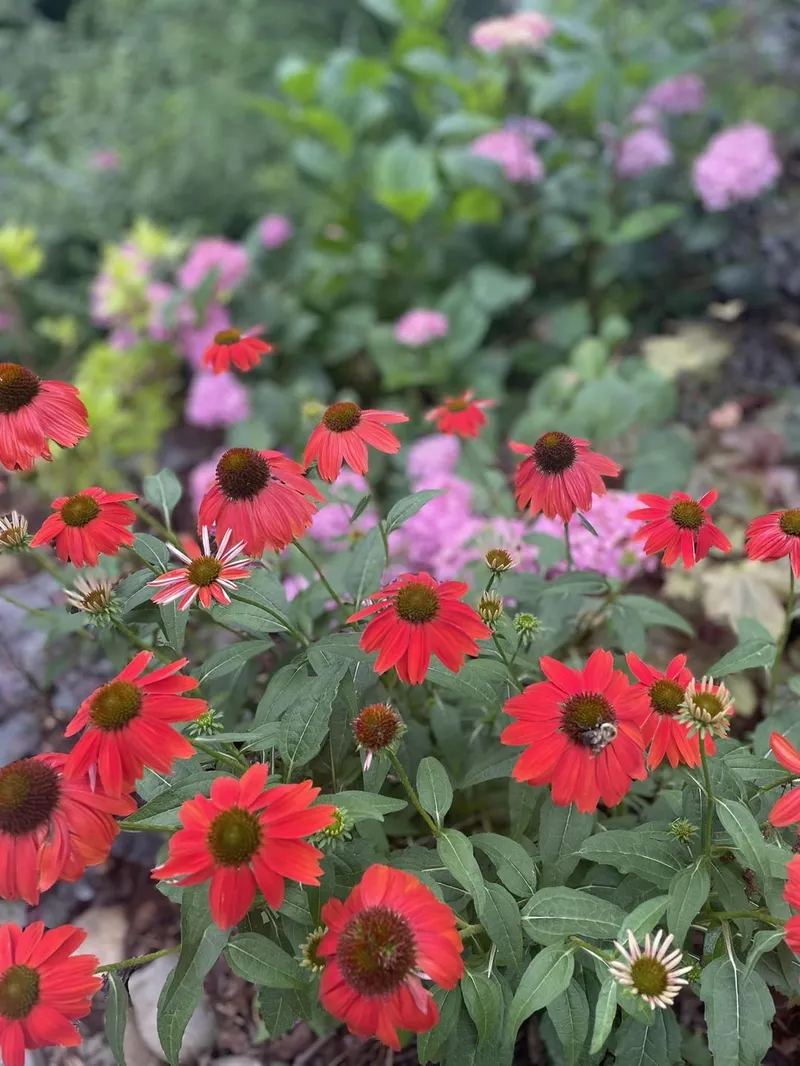 Landscaping – Outdoor Living Tip of the Day