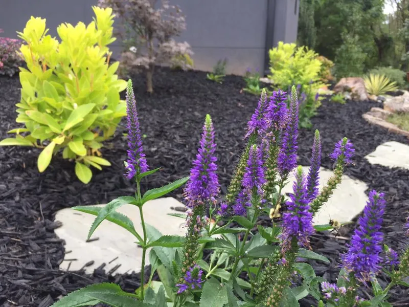 Lovely Landscaping  – Outdoor Living Tip of the Day