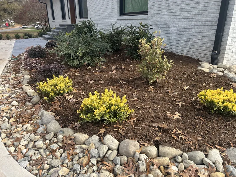 Mr. Outdoor Living: Fast Curb Appeal Upgrades for Instant Home Transformation