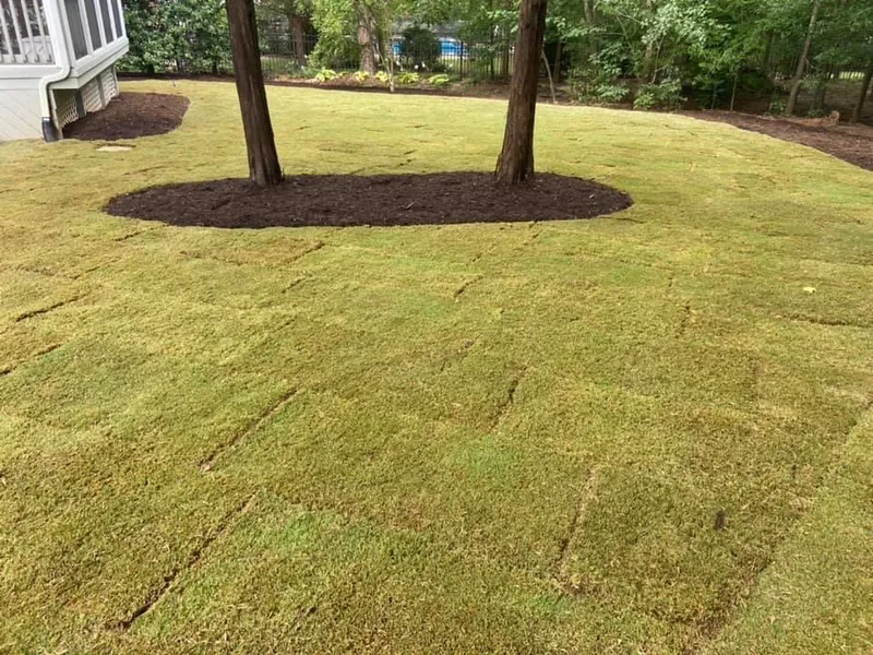 New Backyard Lawn – Outdoor Living Tip of the Day