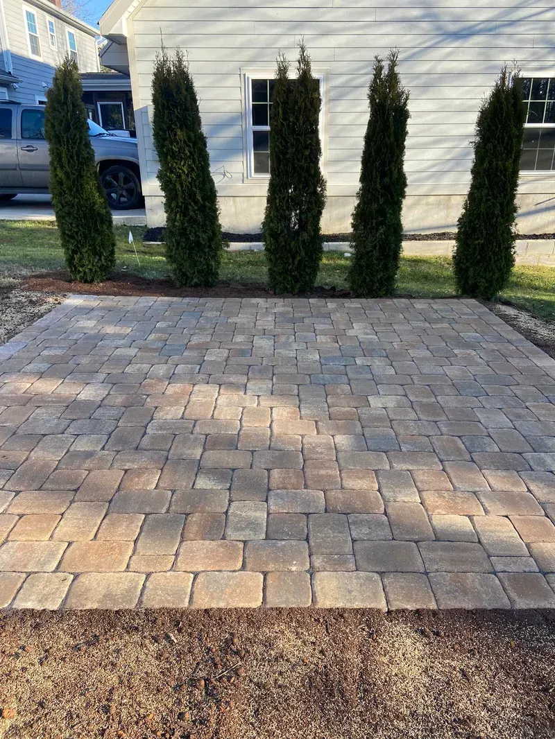 Paver Patio and Privacy Trees – Outdoor Living Tip of the Day