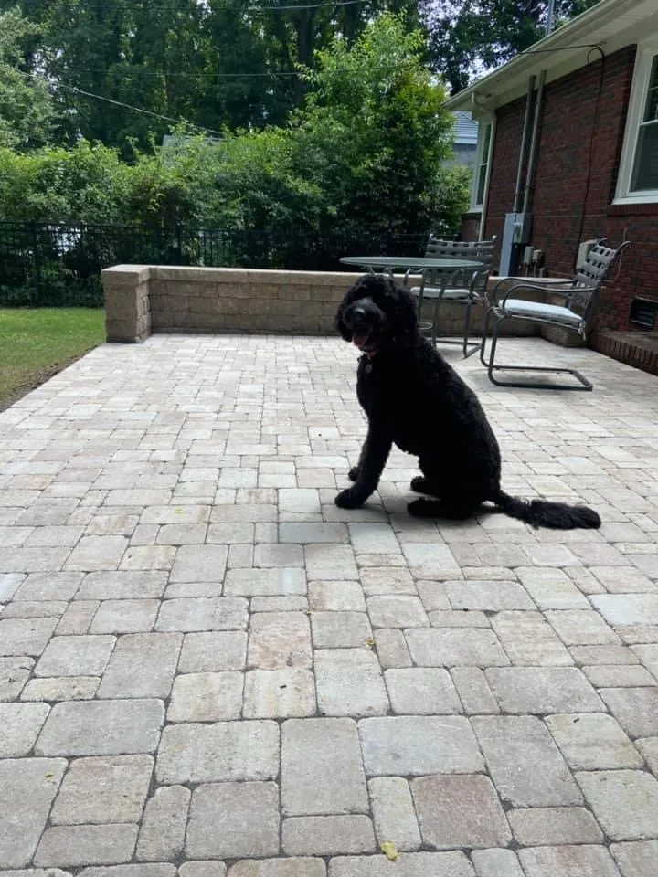 Paver Patio and Seating Wall – Outdoor Living Tip of the Day