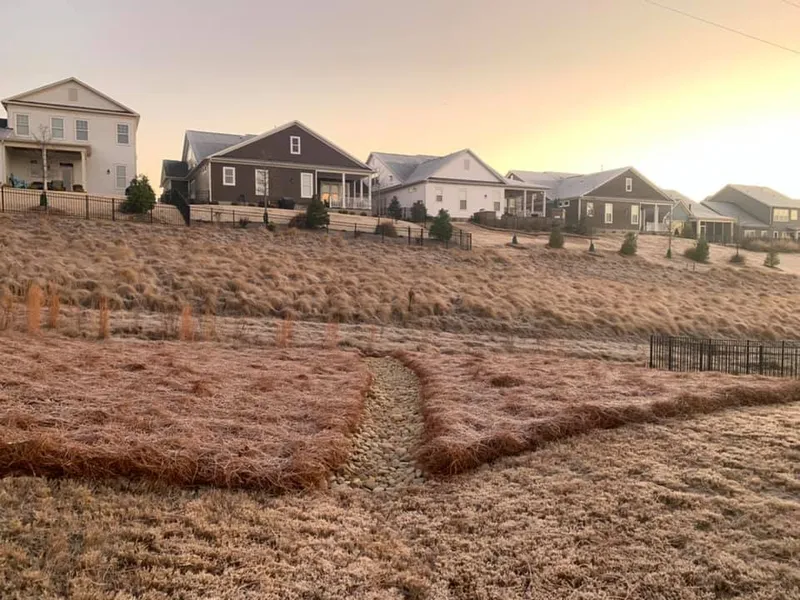 Pine Needles – Outdoor Living Tip of the Day