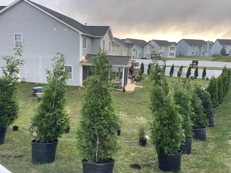 Planting Day – Mr. Outdoor Living® Tip of the Day