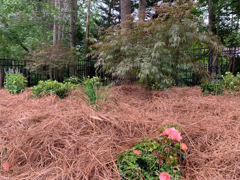 Planting Day – Outdoor Living Tip of the Day