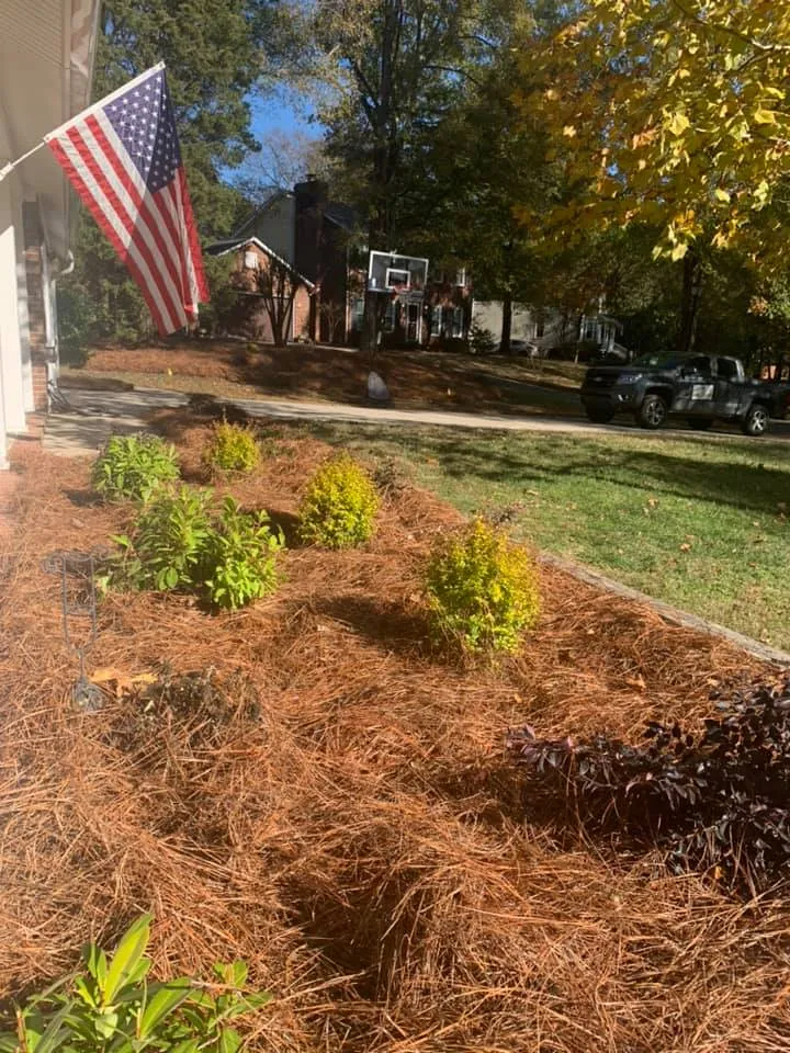 Plantings and Pine Needles – Outdoor Living Tip of the Day