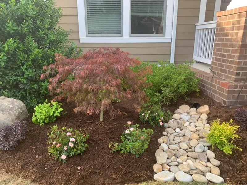 Plantings, Boulders & More – Outdoor Living Tip of the Day