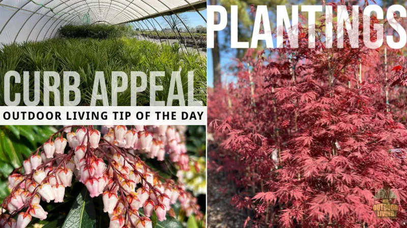 Plantings – Outdoor Living Tip of the Day