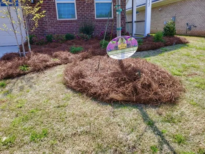 Plantings – Outdoor Living Tip of the Day