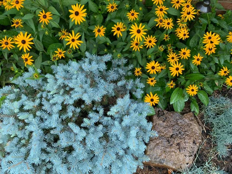 Plantings Perfection – Outdoor Living Tip of the Day