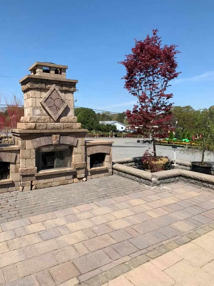 Plantings for Spring – Outdoor Living Tip of The Day