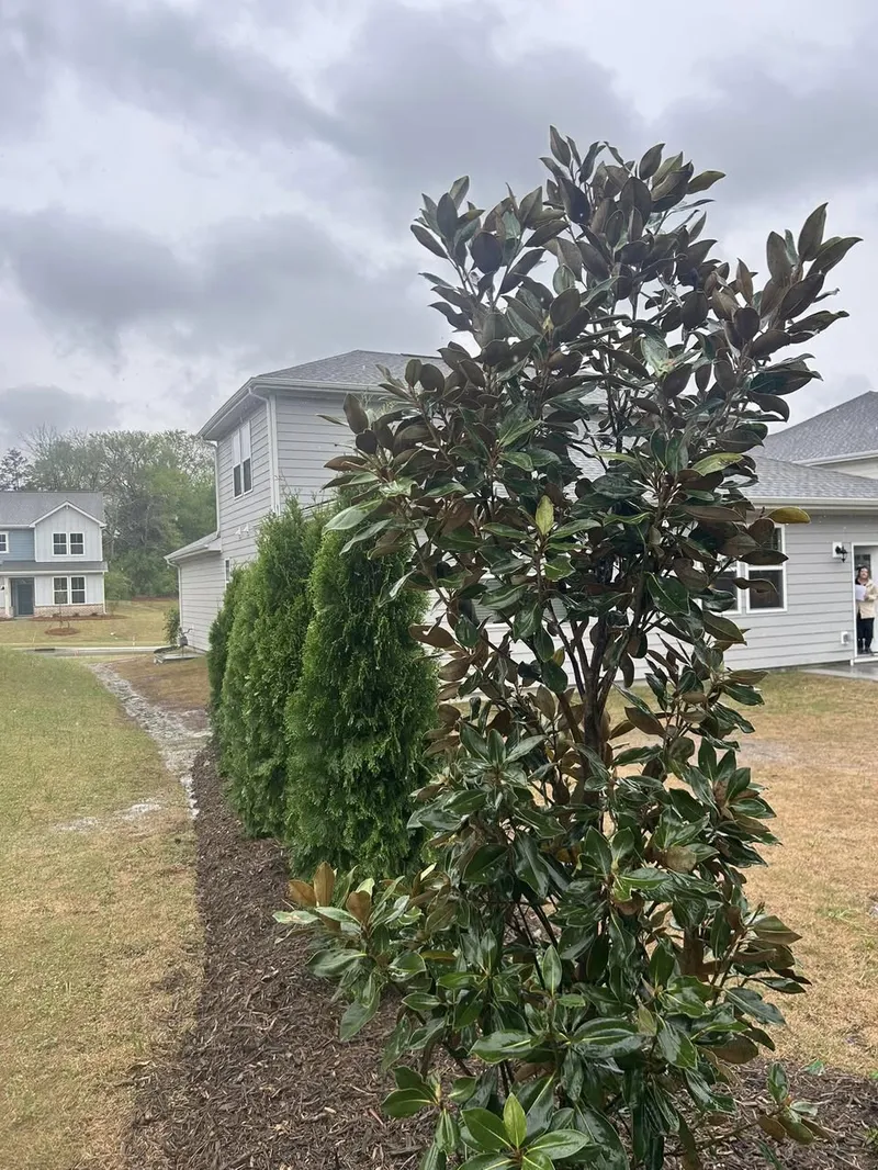 Privacy Landscaping – Mr. Outdoor Living® Tip of the Day