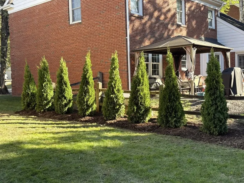 Privacy Landscaping – Mr. Outdoor Living Tip of the Day