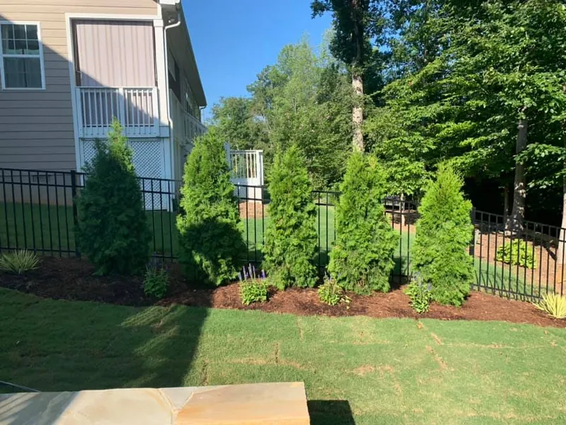 Privacy Landscaping – Outdoor Living Tip of the Day