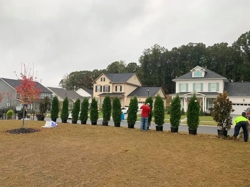 Privacy Landscaping – Outdoor Living Tip of the Day