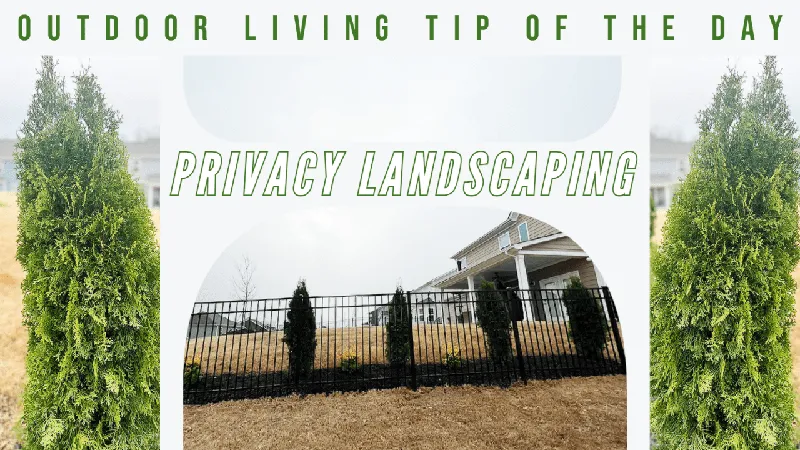 Privacy Landscaping – Outdoor Living Tip of the Day