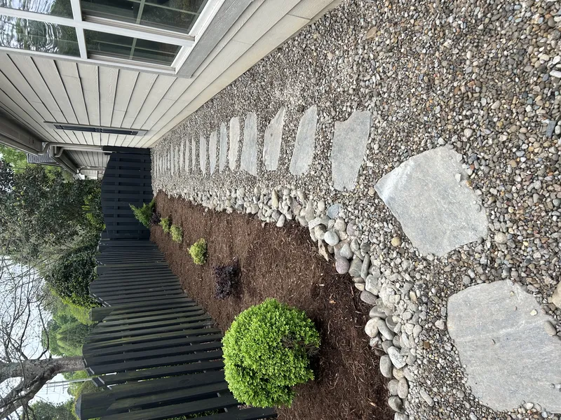 Reclaim Your Lawn: Essential Charlotte Soggy Yard Solutions for a Dry & Beautiful Outdoor Space