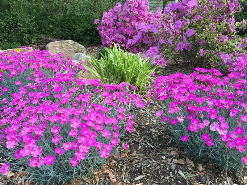 Spring Color – Outdoor Living Tip of the Day
