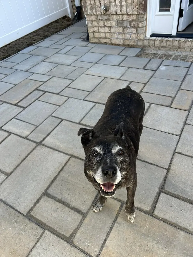 Techo-Bloc Champagne Grey Blu 60 Paver Patio – Mr. Outdoor Living® Tip of the Day