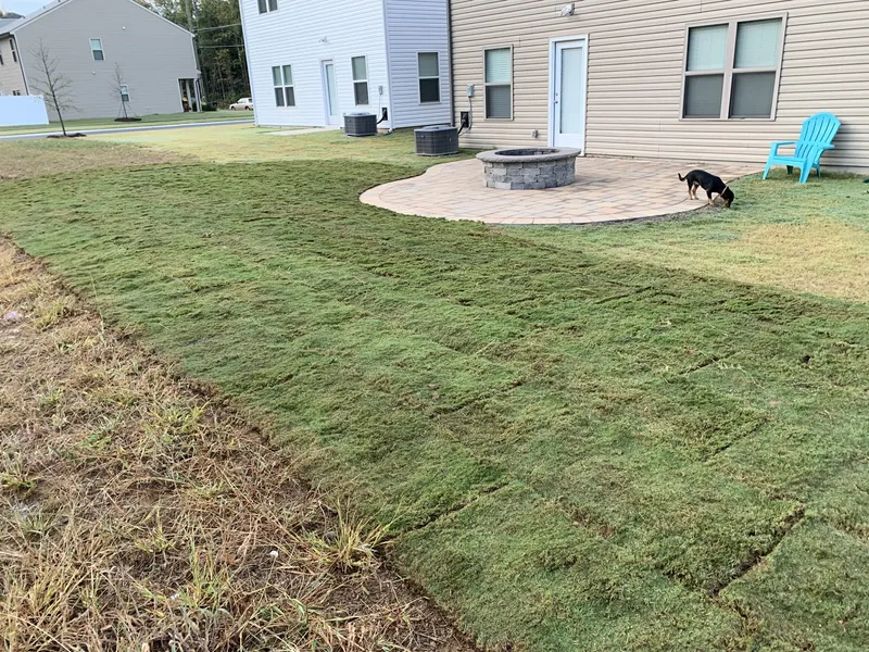 TifTuf Bermuda Grass – Outdoor Living Tip of the Day