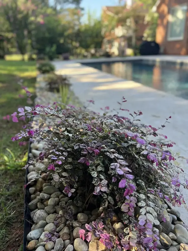 Services - Mr. Outdoor Living Charlotte NC