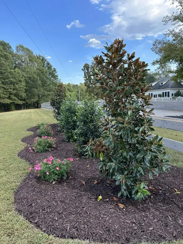 Services - Mr. Outdoor Living Charlotte NC