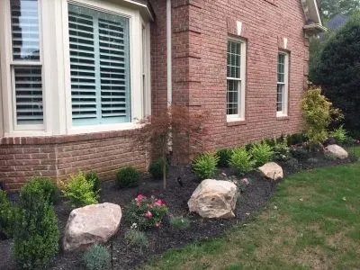 Four Season Shrubs - Mr. Outdoor Living