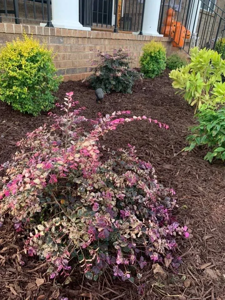 Four Season Shrubs - project photo - Mr. Outdoor Living