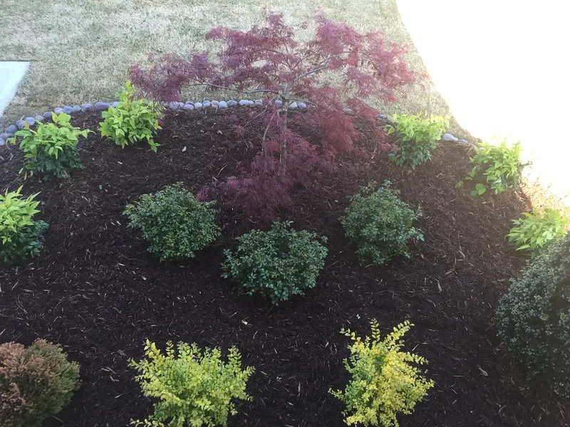 Four Season Shrubs - project photo - Mr. Outdoor Living