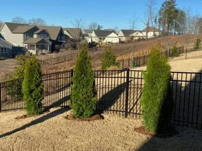 Plantings - 400x300 1 - Mr. Outdoor Living