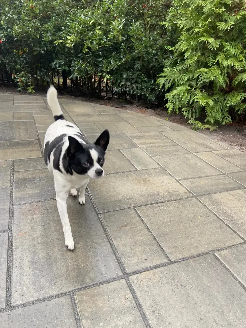 Techo Bloc - Mr. Outdoor Living Charlotte NC